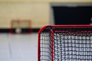 Which Hockey Betting Apps India Review 2027: Bonus, App, Withdrawal Tested