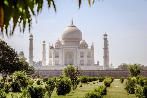 Which Best Betting App India Review 2026: Bonus, App, Withdrawal Tested